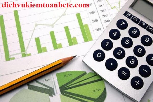Giới thiệu về công ty dịch vụ kiểm toán báo cáo tài chính