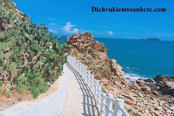 Nội dung dịch vụ kiểm toán tại Quy Nhơn Bình Định