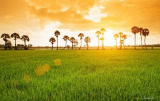 Bang phi dich vu kiem toan tai tinh An Giang