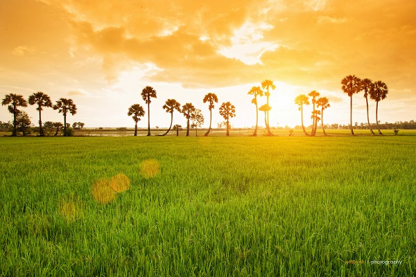 Bang phi dich vu kiem toan tai tinh An Giang