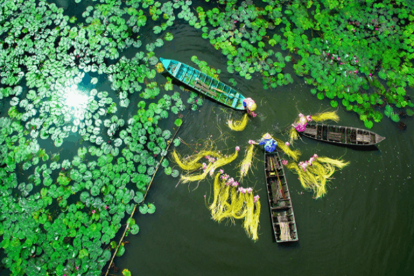 Kiểm toán dịch vụ tại An Giang