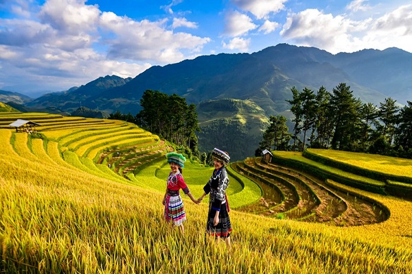 Công ty dịch vụ kiểm toán ở Yên Bái