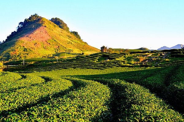 Dịch vụ kiểm toán độc lập giá rẻ ở Hà Giang