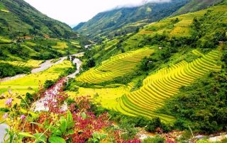 Công ty kiểm toán độc lập ở Điện Biên