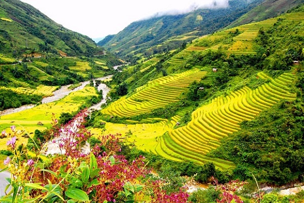 Công ty kiểm toán độc lập ở Điện Biên