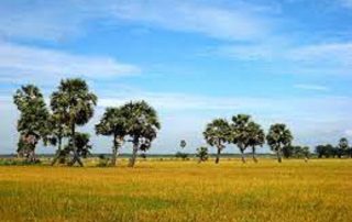 Báo giá kiểm toán tại An Giang