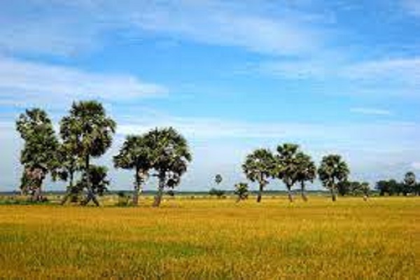 Báo giá kiểm toán tại An Giang 