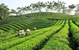 Dịch vụ kiểm toán độc lập tại Thái Nguyên