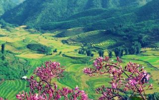 Dịch vụ kiểm toán uy tín ở Điện Biên