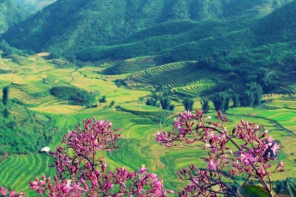 Dịch vụ kiểm toán uy tín ở Điện Biên