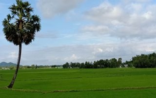 kiểm toán tại An Giang