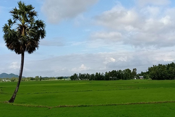 kiểm toán tại An Giang