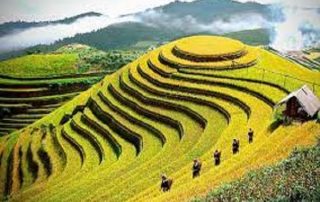 kiểm toán tại Yên Bái