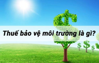 Thuế bảo vệ môi trường là gì