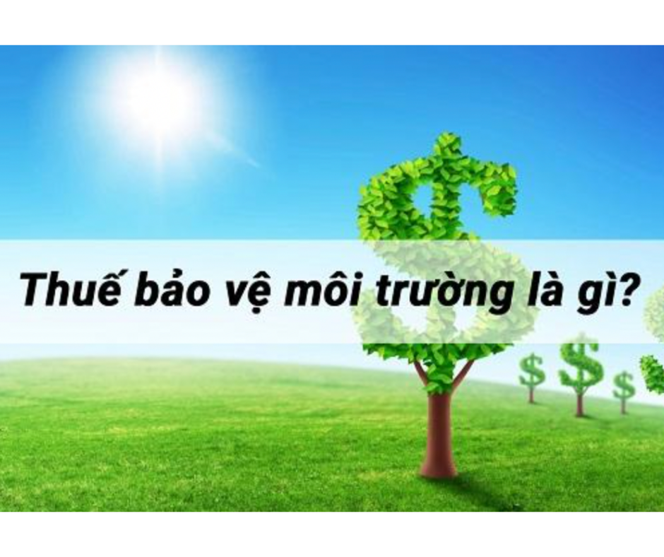 Thuế bảo vệ môi trường là gì