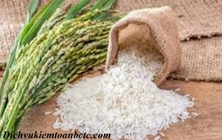 Gạo được chịu mức thuế suất thuế gtgt 5% khi nào
