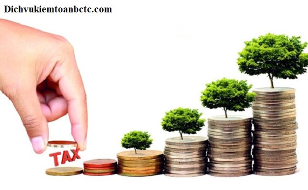 Nhóm kinh doanh cây cảnh chịu thuế 5%