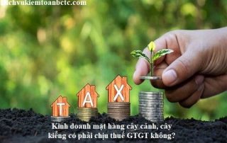 Nhóm kinh doanh cây cảnh không chịu thuế