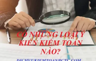 Các ý kiến kiểm toán