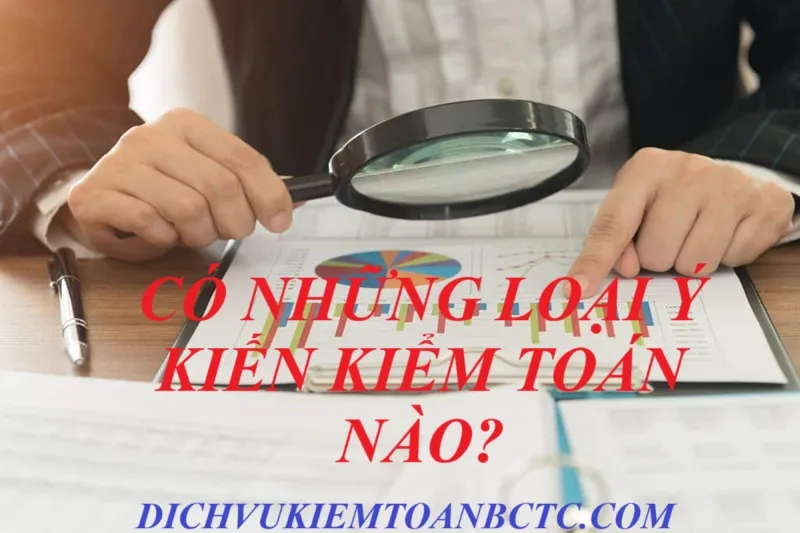 Các ý kiến kiểm toán 