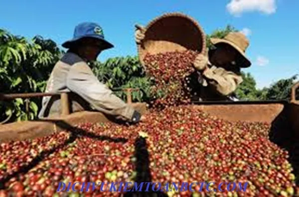 Thuế VAT hàng nông sản là bao nhiêu? Quy định chi tiết ra sao? Công ty kinh doanh nông sản cần lưu ý gì: Tìm hiểu cùng chuyên gia