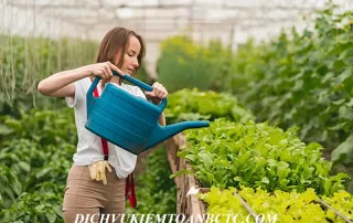 Dịch vụ chăm sóc cây xanh chịu thuế gtgt bao nhiêu % từ ngày 1/7/2025