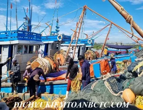 Những lưu ý thuế & kế toán cho doanh nghiệp chế biến thủy sản