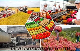 Mua hàng hóa và dịch vụ không có hóa đơn thì xử lý thế nào