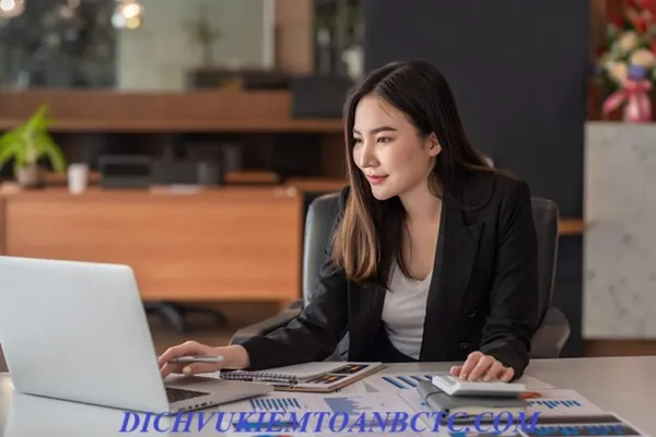 Thuê dịch vụ báo cáo thuế chuyên nghiệp tại xã Bình Chánh tp HCM – Giải pháp tiết kiệm & hiệu quả cho doanh nghiệp