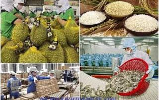 Thuế gtgt hàng nông sản, thủy sản, trồng trọt chăn nuôi là bao nhiêu? Cách tính thuế TNDN đối với công ty nông thủy hản sản?