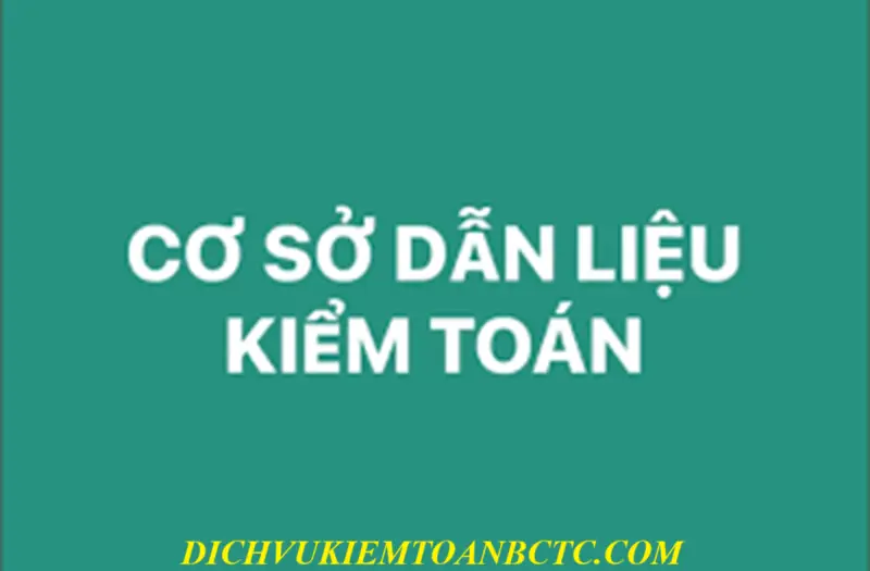 Cách mà kiểm toán viên xác định cơ sở dẫn liệu trong cuộc kiểm toán? Kèm ví dụ minh họa chi tiết nhất