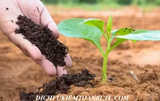 Phân bón chịu thuế giá trị gia tăng bao nhiêu từ ngày 1 7 2025