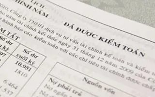 Có những loại ý kiến kiểm toán nào? Ví dụ thực tế