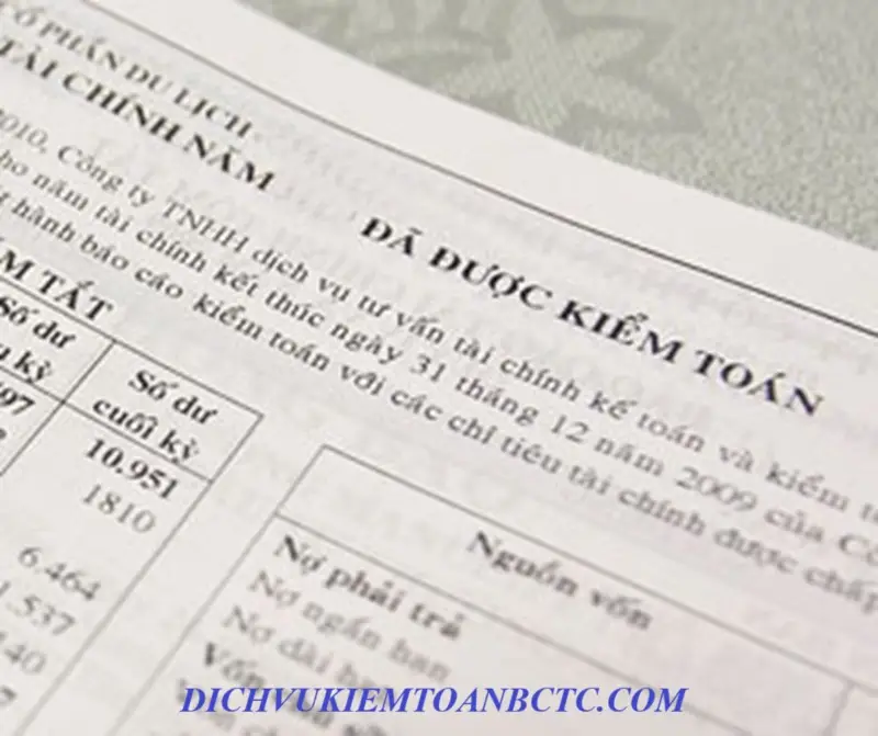 Có những loại ý kiến kiểm toán nào? Ví dụ thực tế
