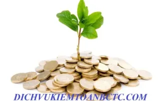 Vốn điều lệ và quy định về tài sản góp vốn theo luật doanh nghiệp 2020