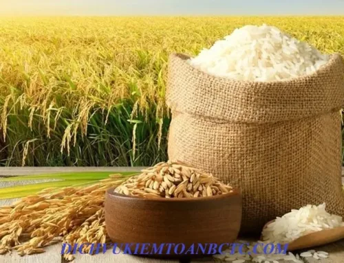 Gạo cám tấm chịu thuế gtgt bao nhiêu từ ngày 1 tháng 1 năm 2026?